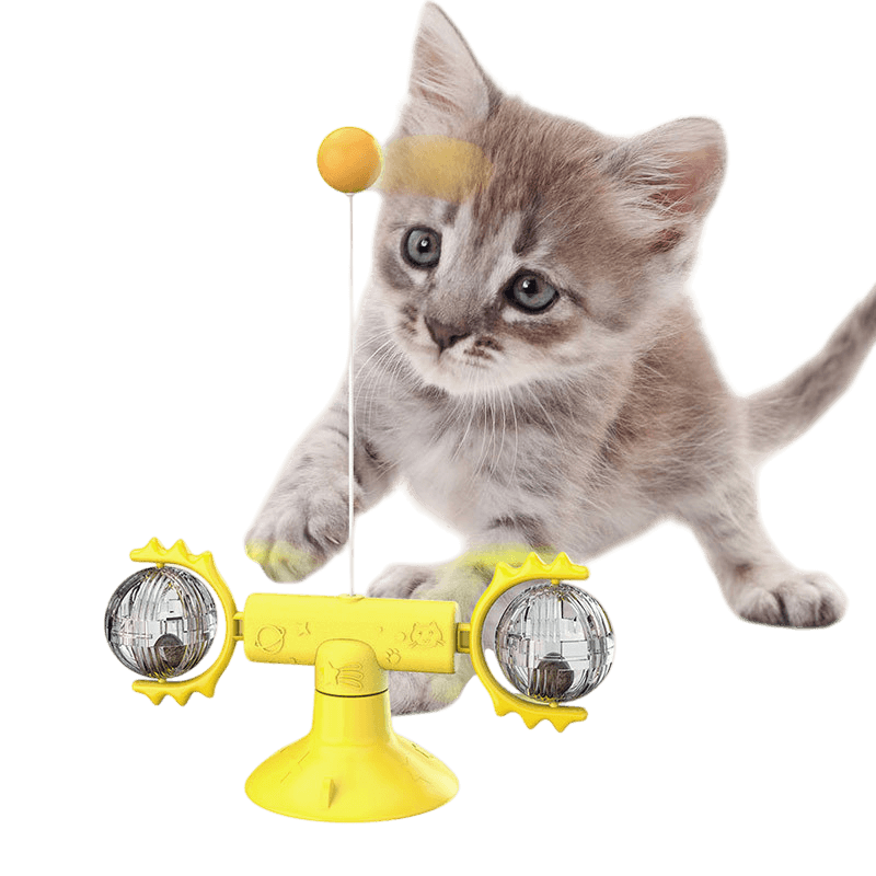 pet toy