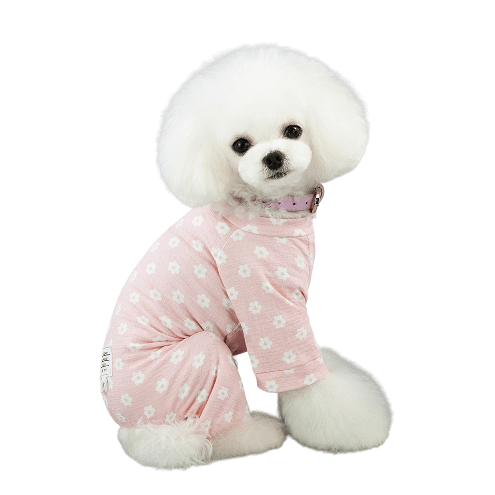 pet clothing
